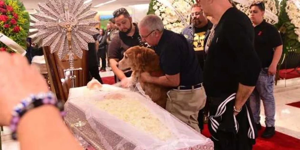 Imagem ilustrativa da imagem Cachorro de Kid Vinil se despede do dono e emociona em velório