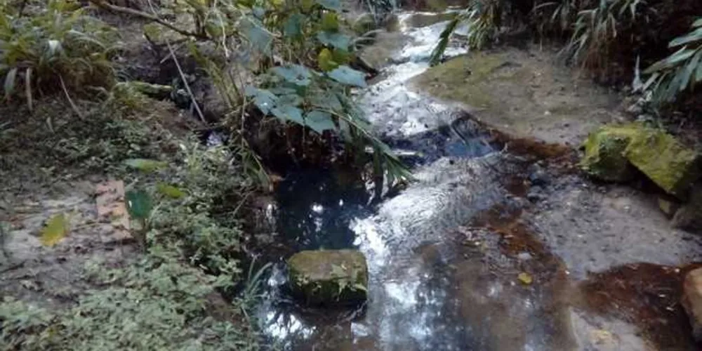 Segundo a polícia, o problema é causado por ligações irregulares de esgoto doméstico | Divulgação/Polícia Ambiental