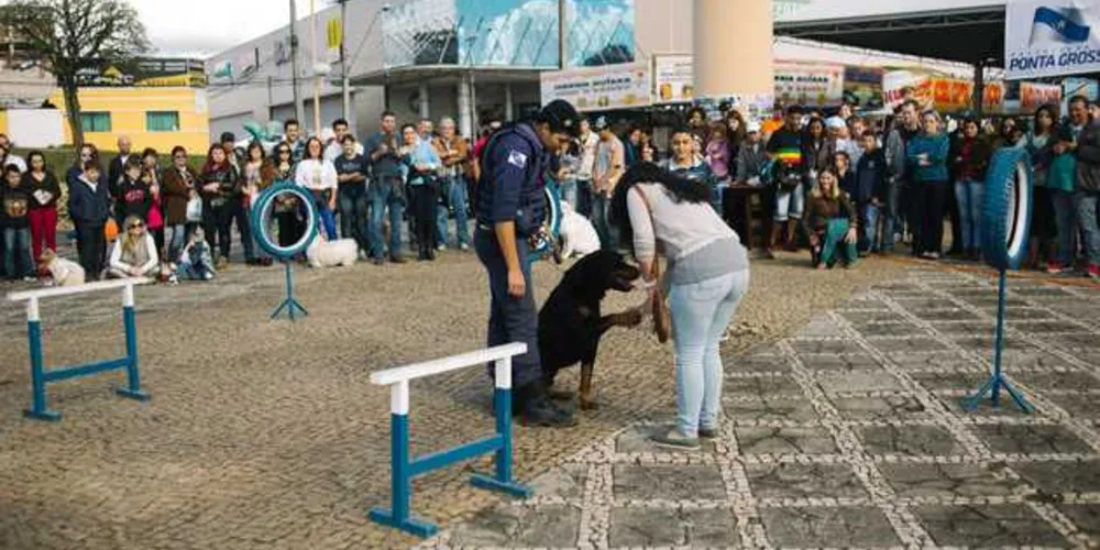 Imagem ilustrativa da imagem ‘Bom pra cachorro’ termina neste domingo