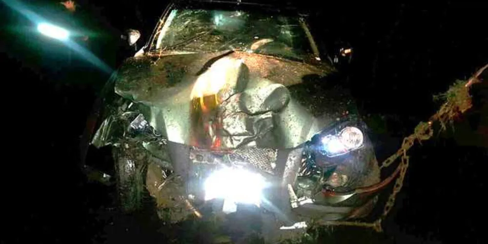 Motorista perdeu o controle da direção, veículo capotou e bateu em árvore às margens da rodovia | Divulgação/PRF