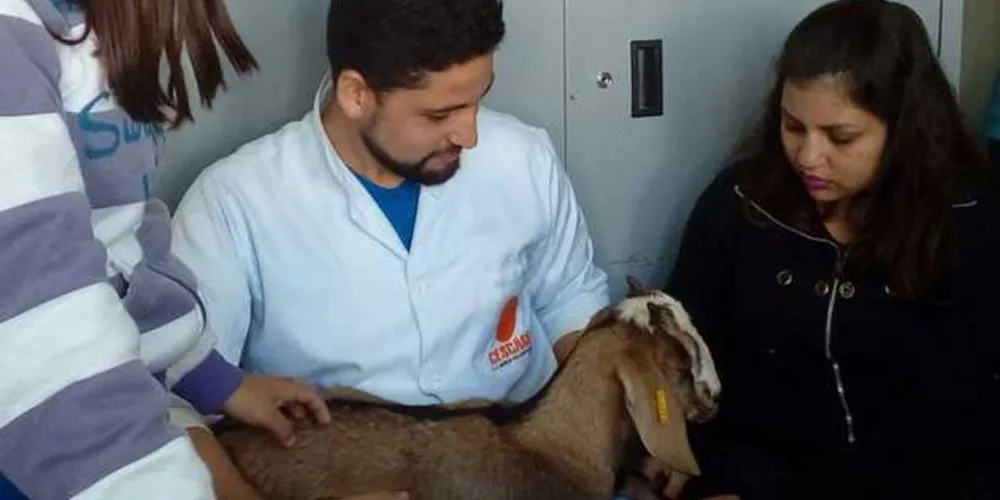 Animal não “convencional”, foi escolhido por ser diferente dos outros animais normalmente utilizados na atividade