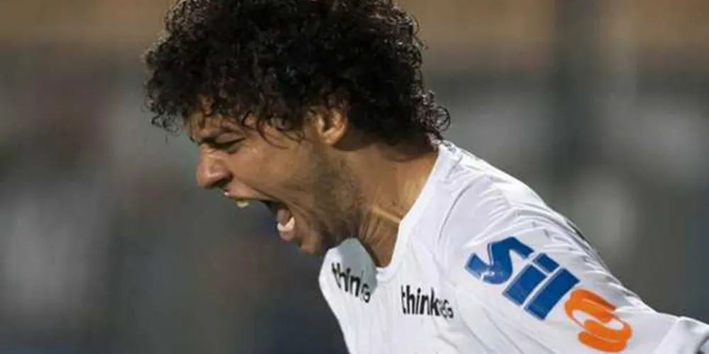 Ivan Storti/SantosFC