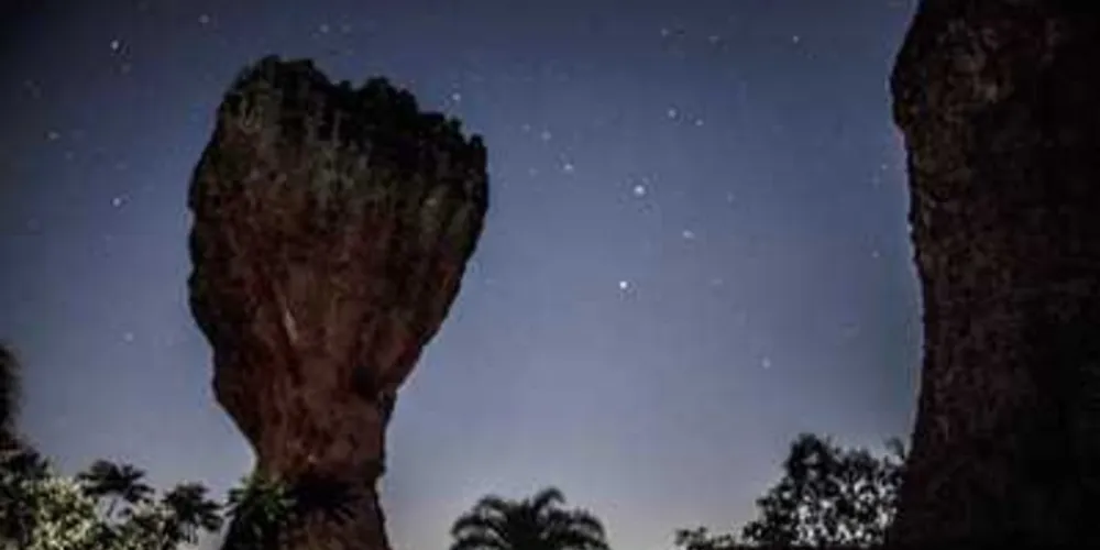 Imagem ilustrativa da imagem Parque de Vila Velha promove caminhada noturna