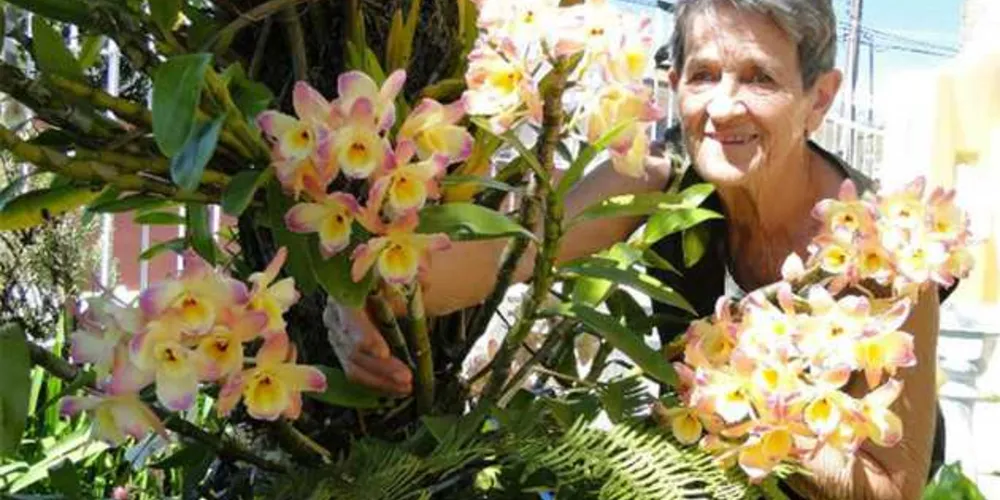 Zeni Pelissari Albrecht, de 76 anos, foi morta e teve o corpo ocultado na região de Alagados