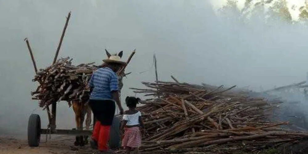 Brasil registra aumento de trabalho infantil entre crianças de 5 a 9 anos/ Foto: Agência Brasil