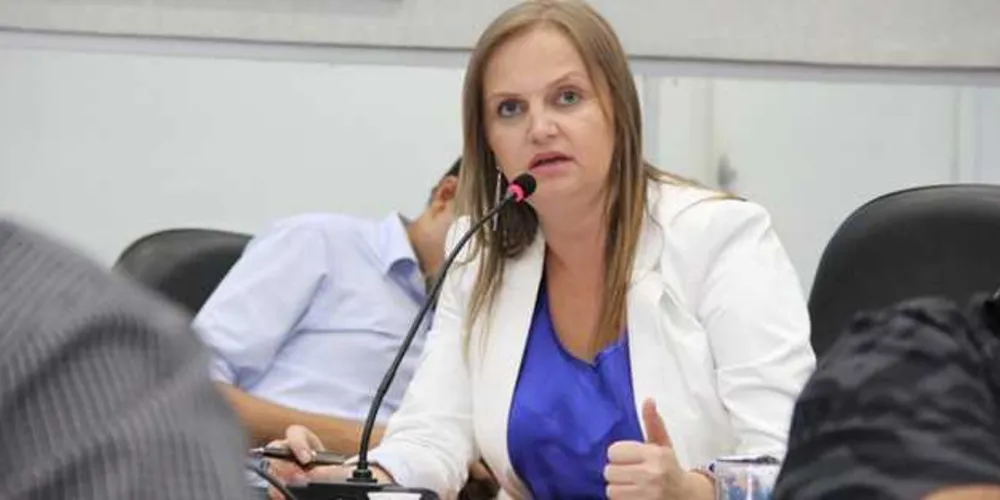 Imagem ilustrativa da imagem “PG precisa de um novo aterro”, diz presidente do Comdema