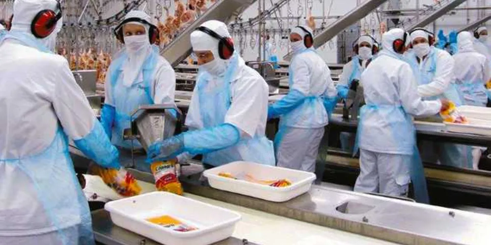 Imagem ilustrativa da imagem Paraná gerou 230 mil empregos com carteira assinada desde 2011
