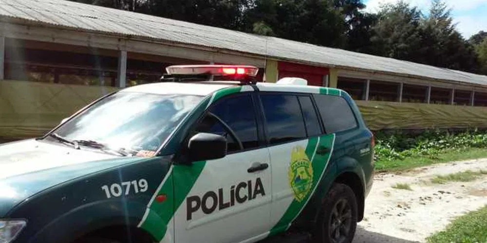Animais eram criados perto de córrego, o que não é permitido por lei | Divulgação/Polícia Ambiental