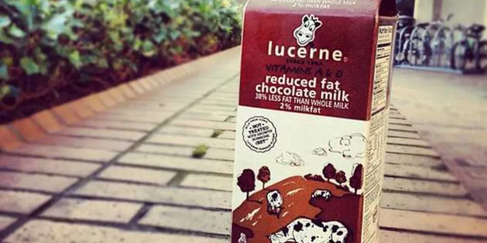 Imagem ilustrativa da imagem Achocolatado vem de vacas marrons, acreditam 7% dos americanos