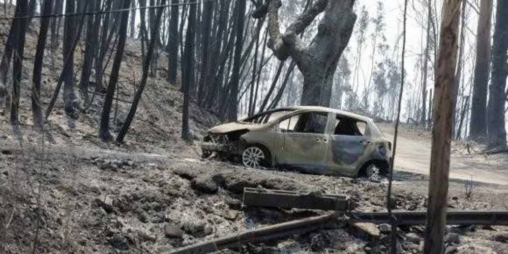 Imagem ilustrativa da imagem Incêndio florestal deixa ao menos 62 mortos em Portugal