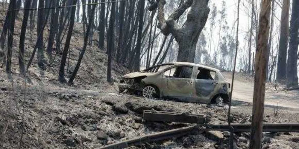 Imagem ilustrativa da imagem Ministro português convoca reunião para tratar de incêndio