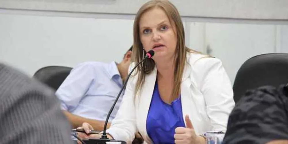 Presidente do Conselho lembra que responsáveis pelo TAC devem ser cobrados 