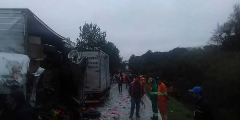 Imagem ilustrativa da imagem Caminhões colidem de frente em rodovia da região