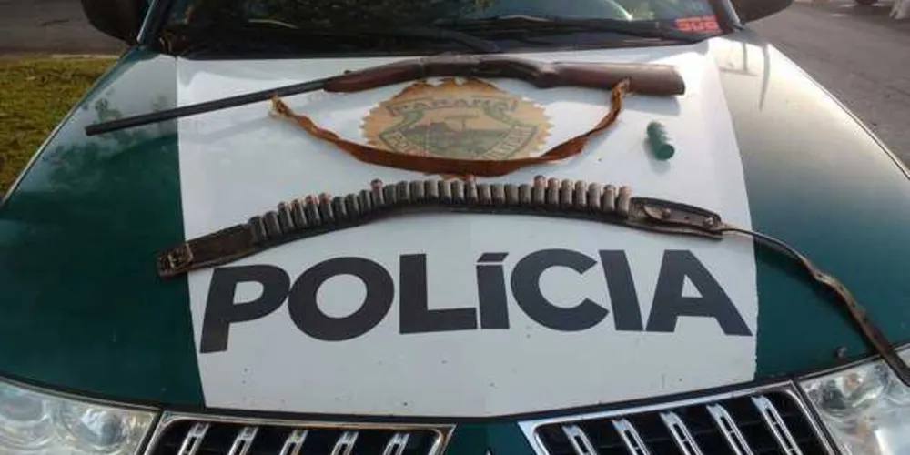 Imagem ilustrativa da imagem Polícia Ambiental apreende espingarda na região