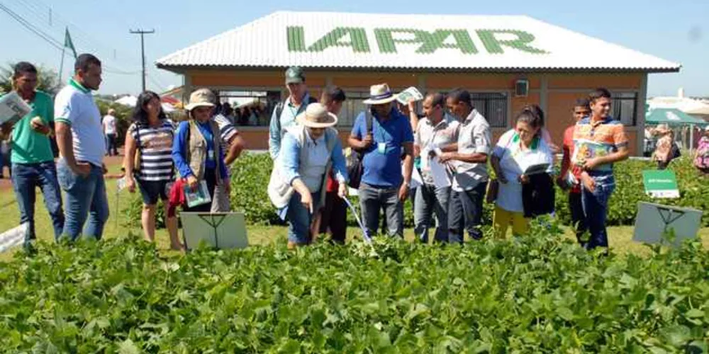 Imagem ilustrativa da imagem Iapar celebra 45 anos de  pesquisas e agroinovação