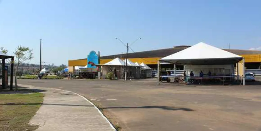 Imagem ilustrativa da imagem Feira pretende fomentar o crescimento do mercado da ovinocultura