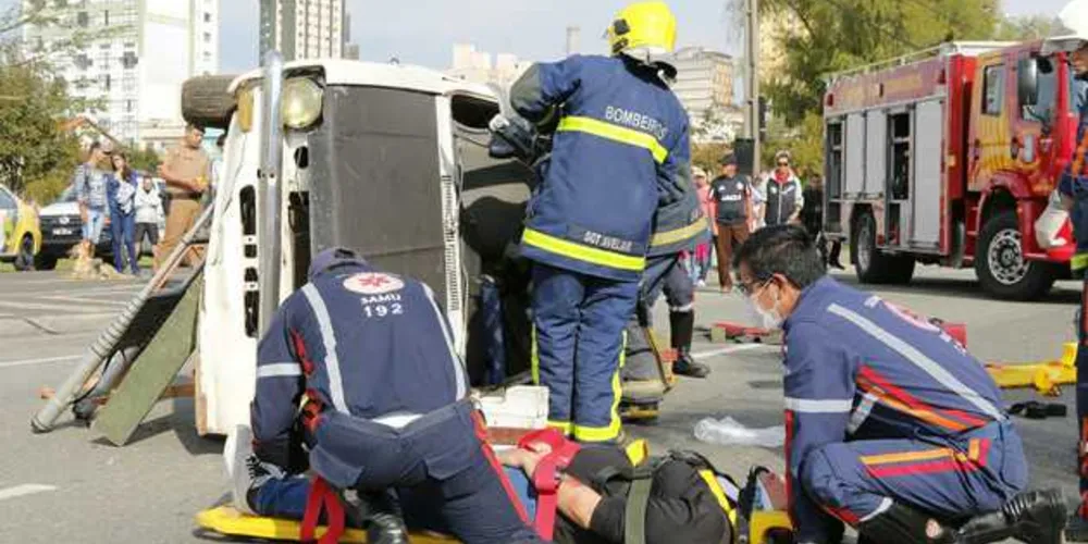 Ação fez parte da Operação Conjunta que envolveu todas as forças de segurança da região entre sexta e sábado | Divulgação/PM