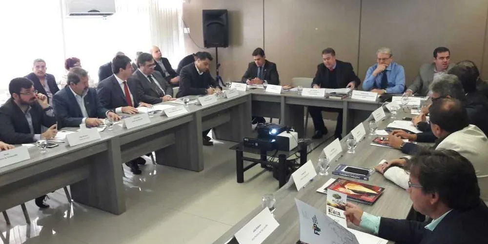 Imagem ilustrativa da imagem Projetos de PG são apresentados a comitiva da ONU