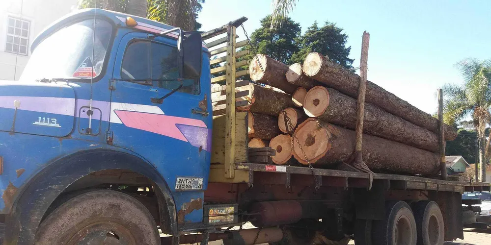 Mais de 20 toras de araucária e o caminhão foram apreendidos pela Polícia Civil