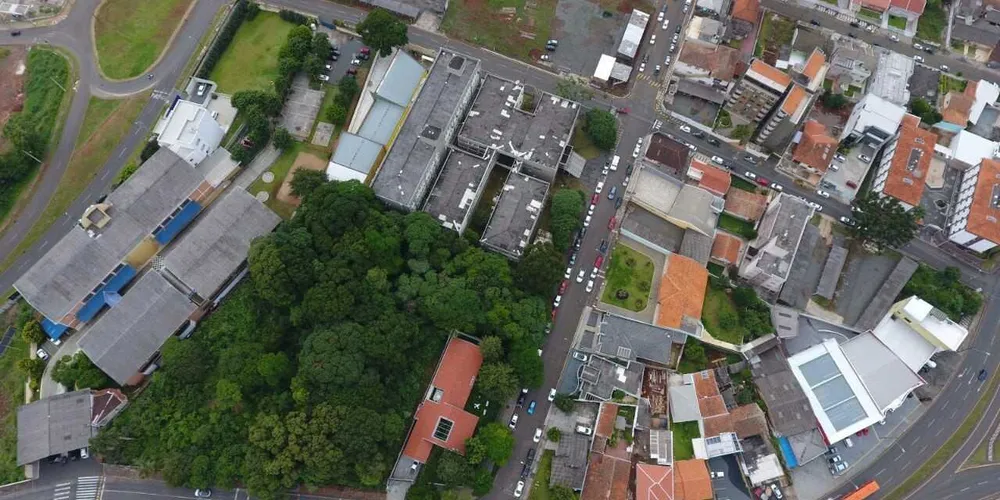 Imagem ilustrativa da imagem Corte de árvores no 'Parque Honório' já foi indeferido pelo IAP