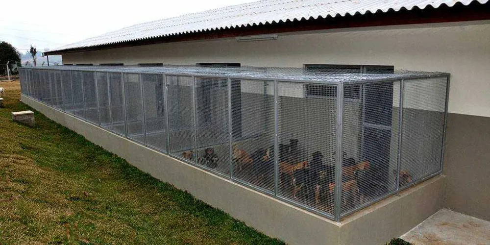 Prefeito destaca investimentos nos serviços de atendimento a animais de rua, como a construção do Canil Municipal | Divulgação