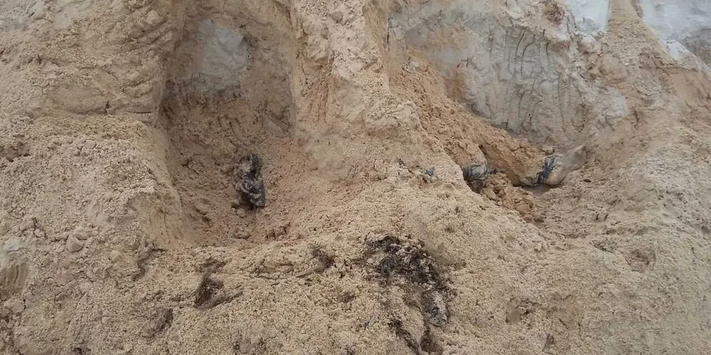 
Achado foi feito depois que um cachorro cavou a terra onde estava o corpo
