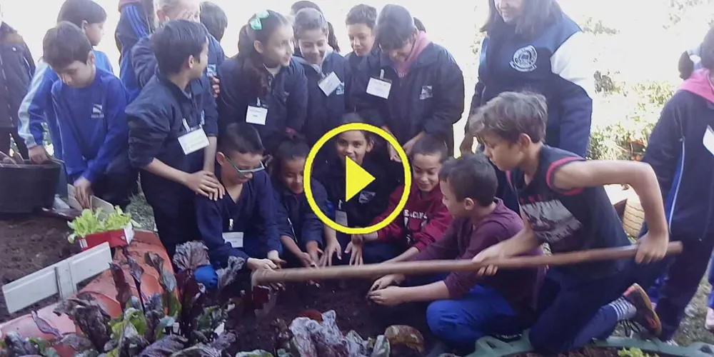 Imagem ilustrativa da imagem Quinto ano entrevista quarto sobre trabalho com horta