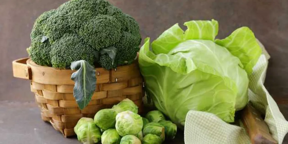 Imagem ilustrativa da imagem Excesso de alimentos ácidos podem trazer danos à saúde