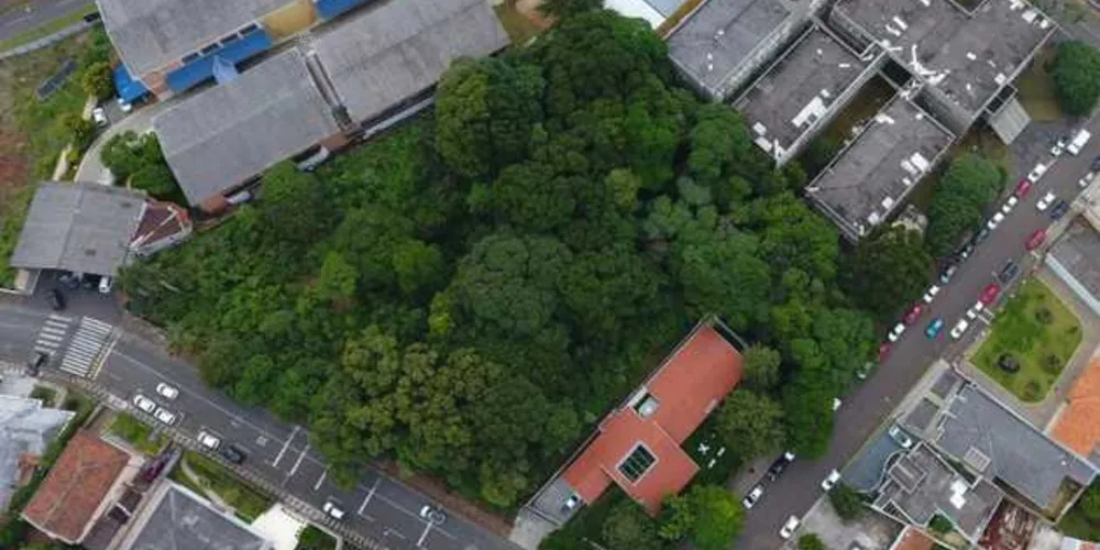 Imagem ilustrativa da imagem Parque Honório possui espécies de árvores em extinção