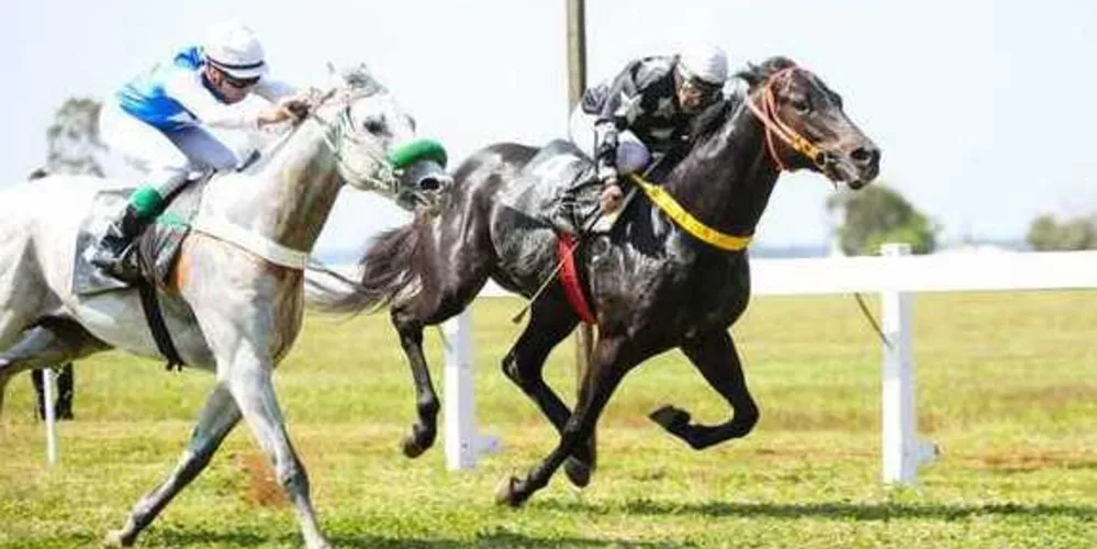 Imagem ilustrativa da imagem Jockey Club de PG terá páreos durante o feriado
