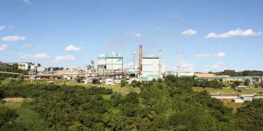 Imagem ilustrativa da imagem Klabin possui florestas em 16 municípios dos Campos Gerais