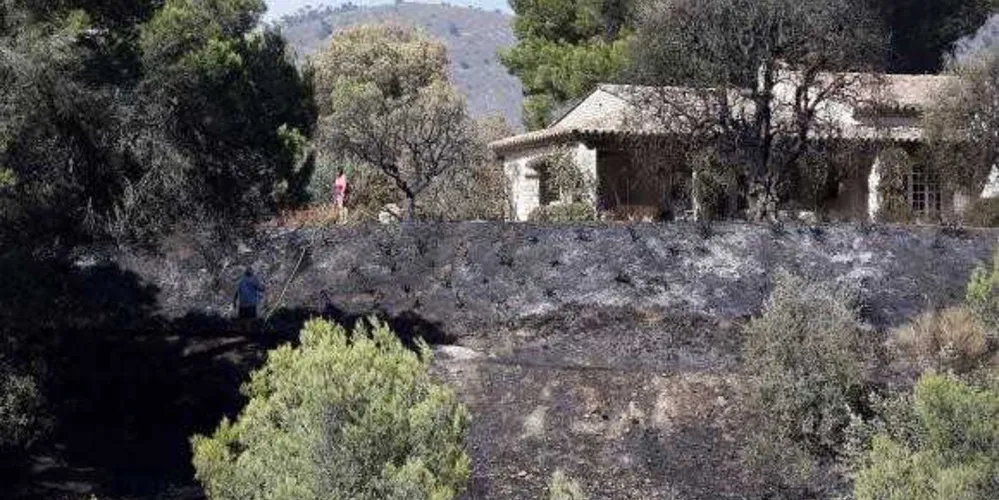 Imagem ilustrativa da imagem Incêndio obriga saída de cerca de 10 mil pessoas do Sudeste da França