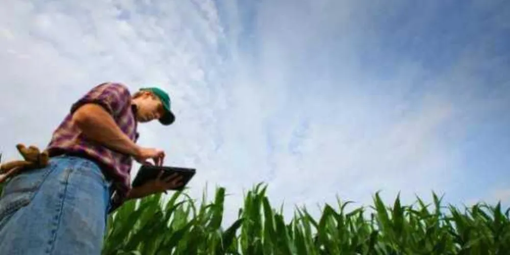 Imagem ilustrativa da imagem Produtor rural está conectado à tecnologia da informação