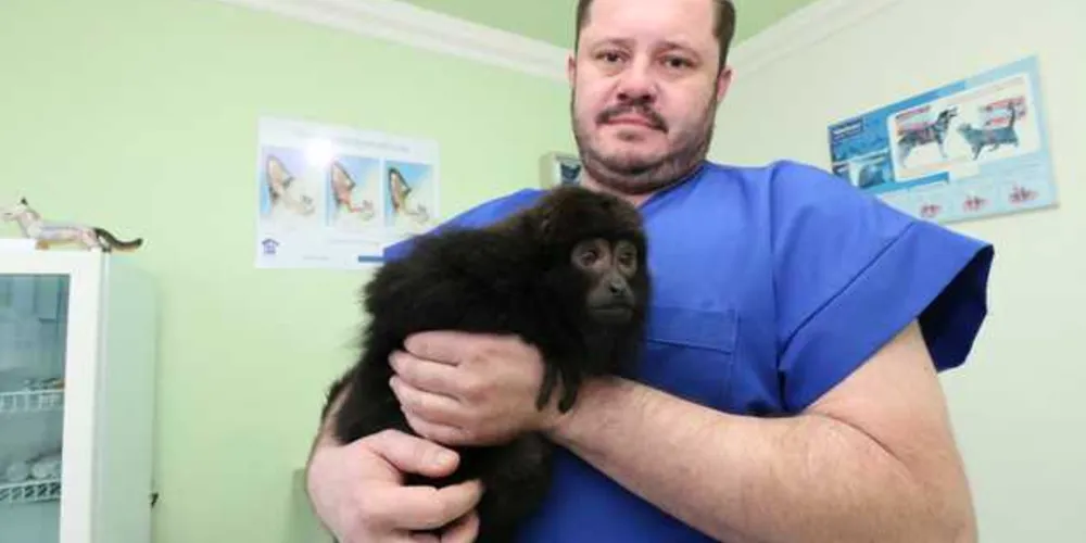 Imagem ilustrativa da imagem PG contará com Centro de Triagem de animais