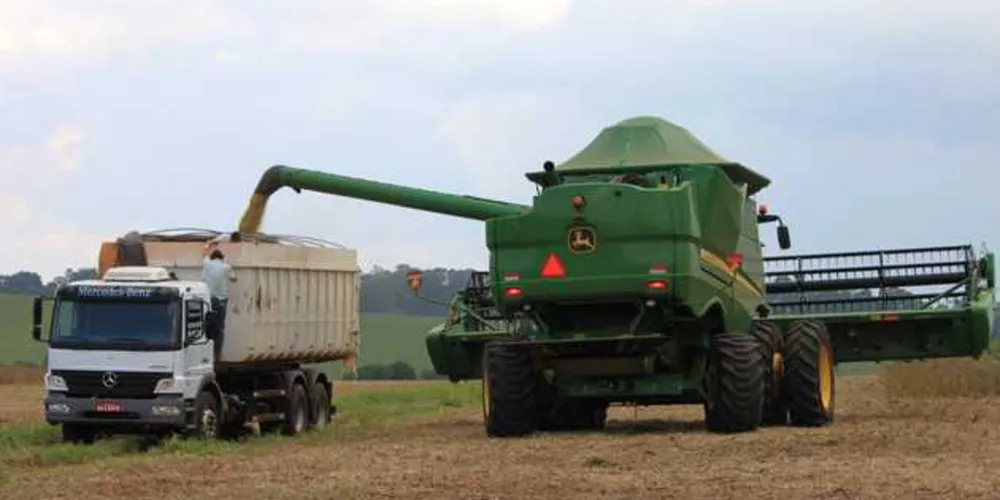 Imagem ilustrativa da imagem Região deve colher 4,1 milhões de toneladas de grãos