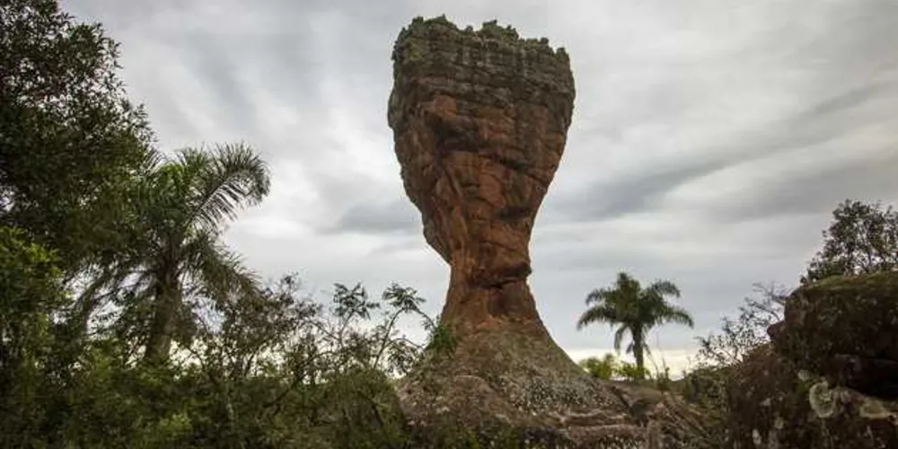 Parque de Vila Velha rende R$ 13 milhões para os cofres de PG | AEN