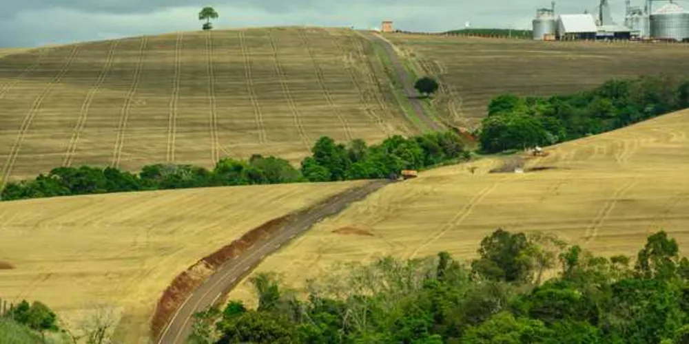 Imagem ilustrativa da imagem Valor do hectare no Paraná varia de R$ 1,3 mil a R$ 75,8 mil