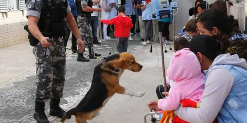 Crianças se divertiram com presença dos cães farejadores da PM | Divulgação/PM