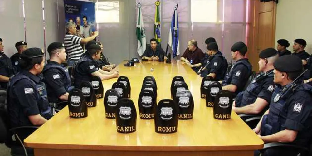 Divulgação