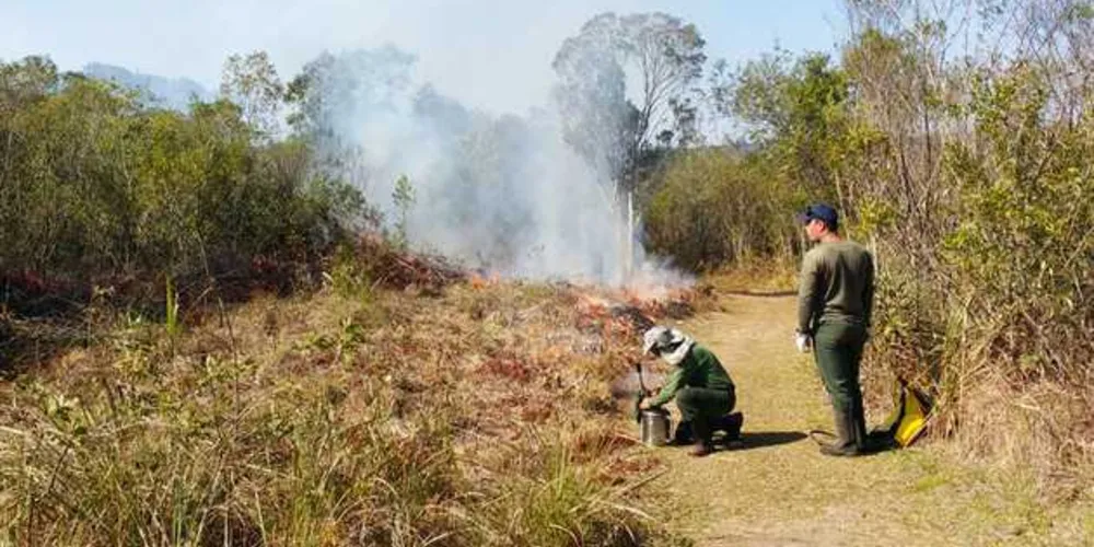 Técnica é usada há três anos no Parque de Vila Velha | AEN