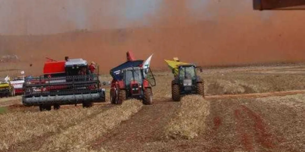 Agricultores esperam este ano recorde na produção de soja e milho, somando 214 milhões de toneladas/Foto: Reprodução Agência Brasil
