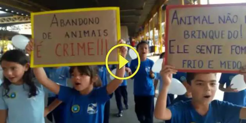 Imagem ilustrativa da imagem ‘Blitz educativa’ alerta para abandono de animais em PG