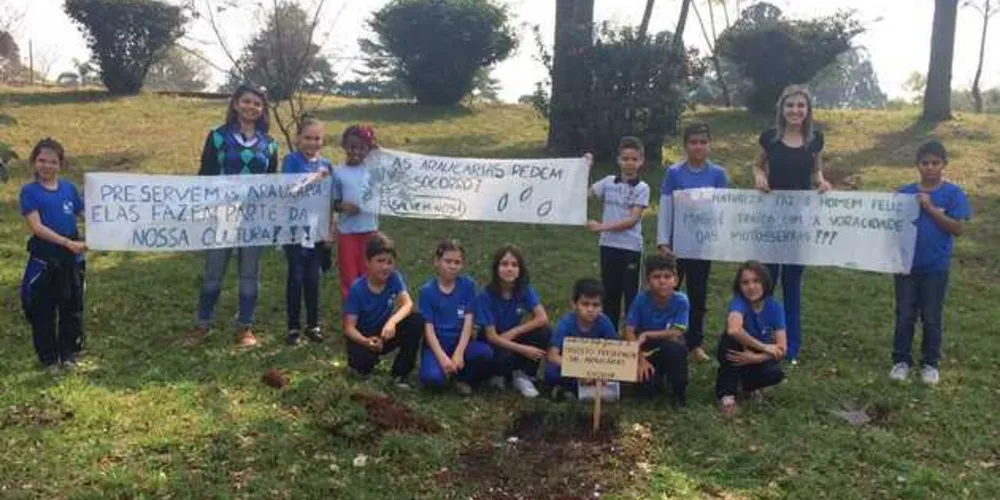 Os alunos plantaram mudas feitas com pinhões