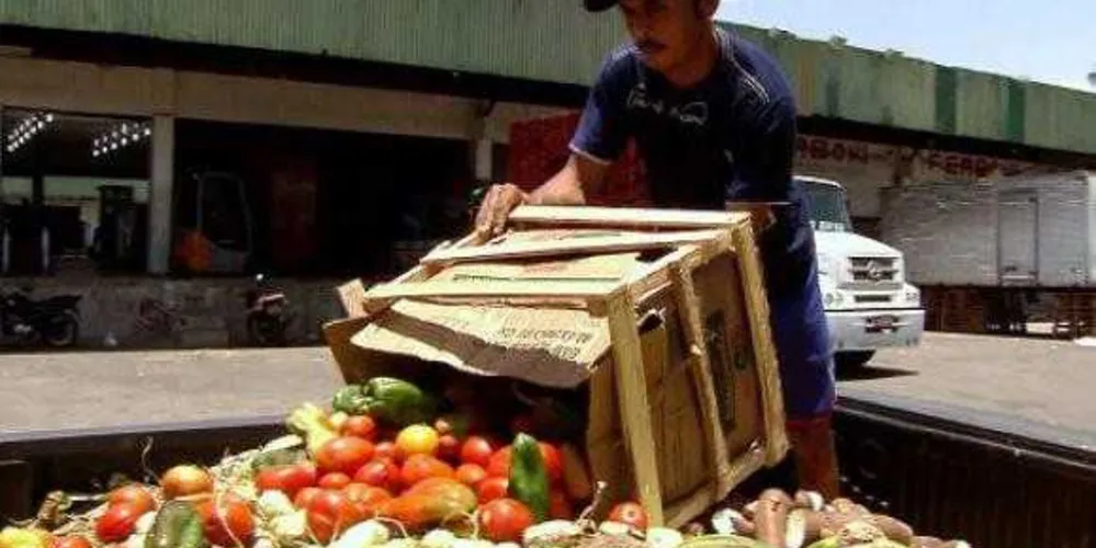 Imagem ilustrativa da imagem Quase 30 projetos sobre desperdício de alimentos tramitam na Câmara
