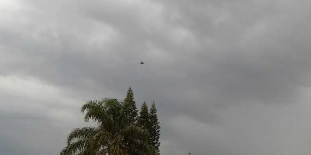 Temporal provocou destelhamentos e quedas de árvores em PG | Divulgação/Cassiane Paciesny