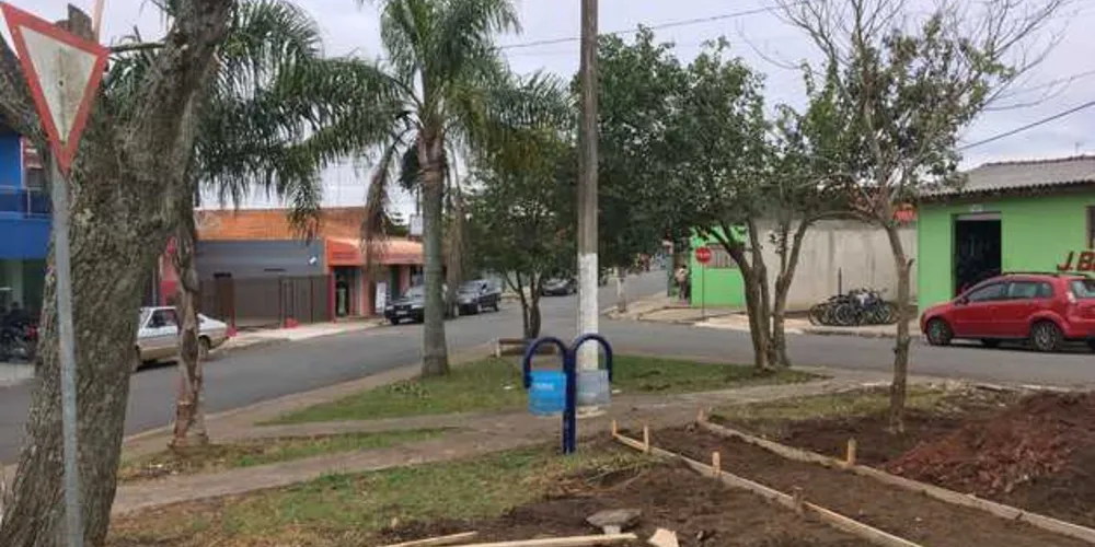Árvores adultas de ipês roxo e amarelo começaram a ser plantas conforme o Plano Municipal de Arborização Urbana | Divulgação