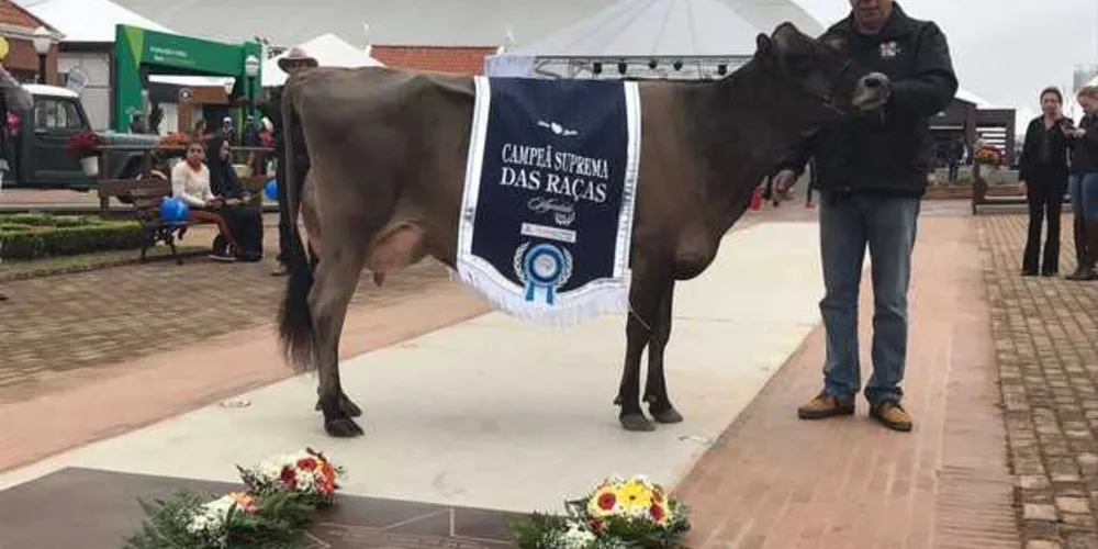 Imagem ilustrativa da imagem Julgamento da Vaca do Futuro e divulgação da Campeã Suprema encerram o Agroleite