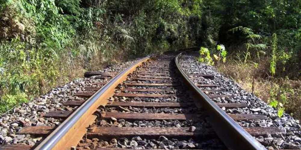 Imagem ilustrativa da imagem Descarrilamento de trem deixa 23 mortos na Índia