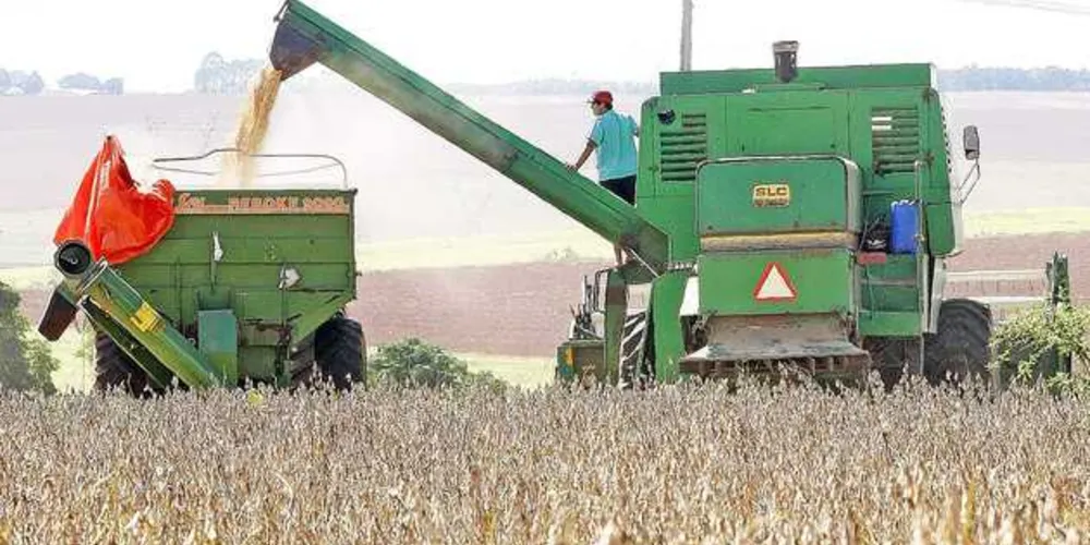 Imagem ilustrativa da imagem PIB do agronegócio irá crescer 10,9% em 2017