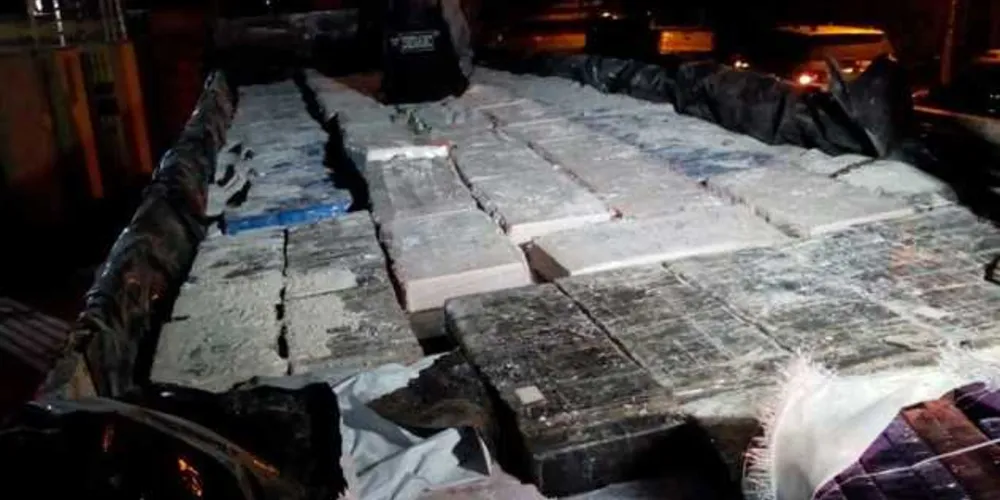 Polícia Civil apreende 7,2 toneladas de maconha e gera prejuízo milionário ao tráfico de drogas no Estado